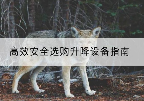 路南升降货梯厂家推荐-*安全选购升降设备指南