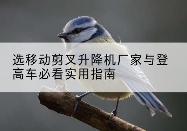 路南电动升降机厂家-选移动剪叉升降机厂家与登高车必看实用指南