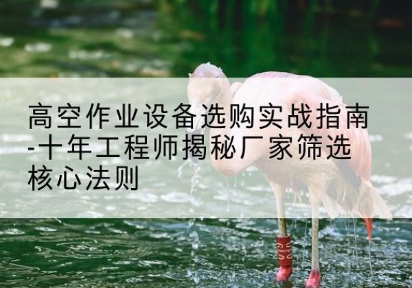路南剪叉式升降机厂家-高空作业设备选购实战指南-十年工程师揭秘厂家筛选核心法则